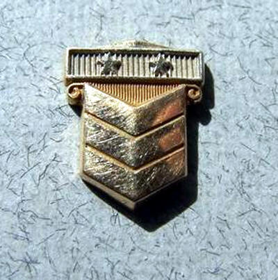 Chevron 10 Year Service Pin