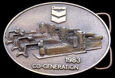 Chevron Western Region Co-Generation 